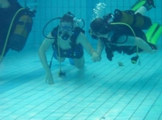 introducción gratuita a la alberca 